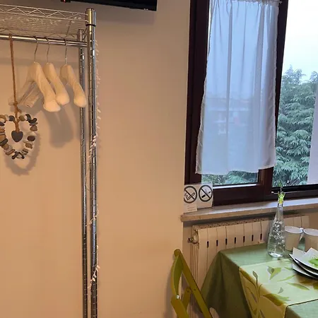 Il Gatto E Il Cocker