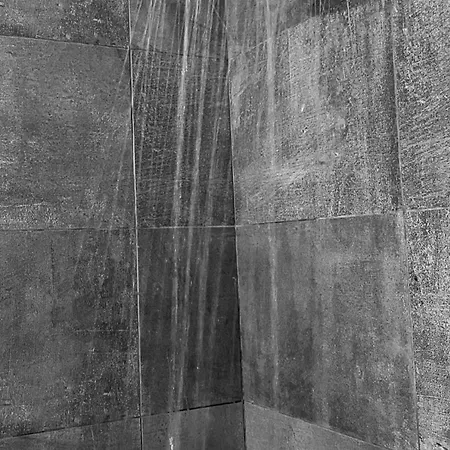 Il Gatto E Il Cocker Affittacamere 4*