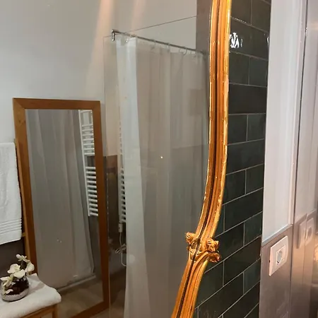 Il Gatto E Il Cocker Affittacamere Verona