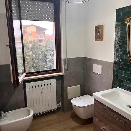 Il Gatto E Il Cocker 4*