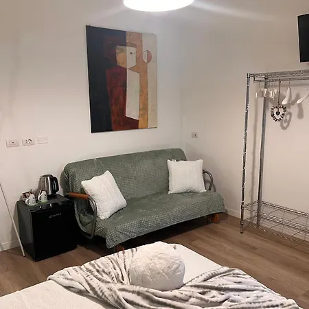 Il Gatto E Il Cocker Affittacamere Verona