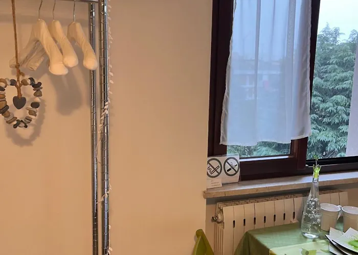 Il Gatto E Il Cocker