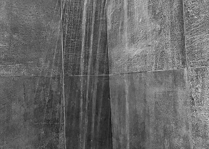 Il Gatto E Il Cocker ゲストハウス 4*