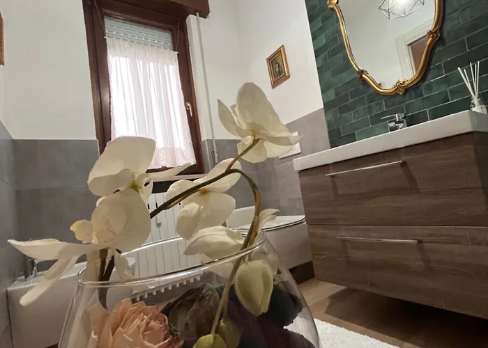 Il Gatto E Il Cocker ヴェローナ